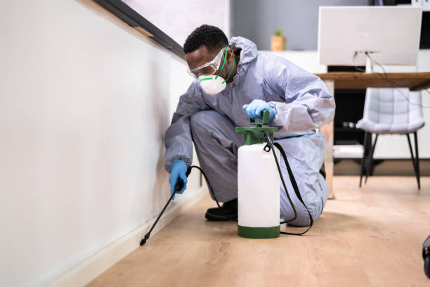 Best Pest Prevention Services  in Bay Pines, FL